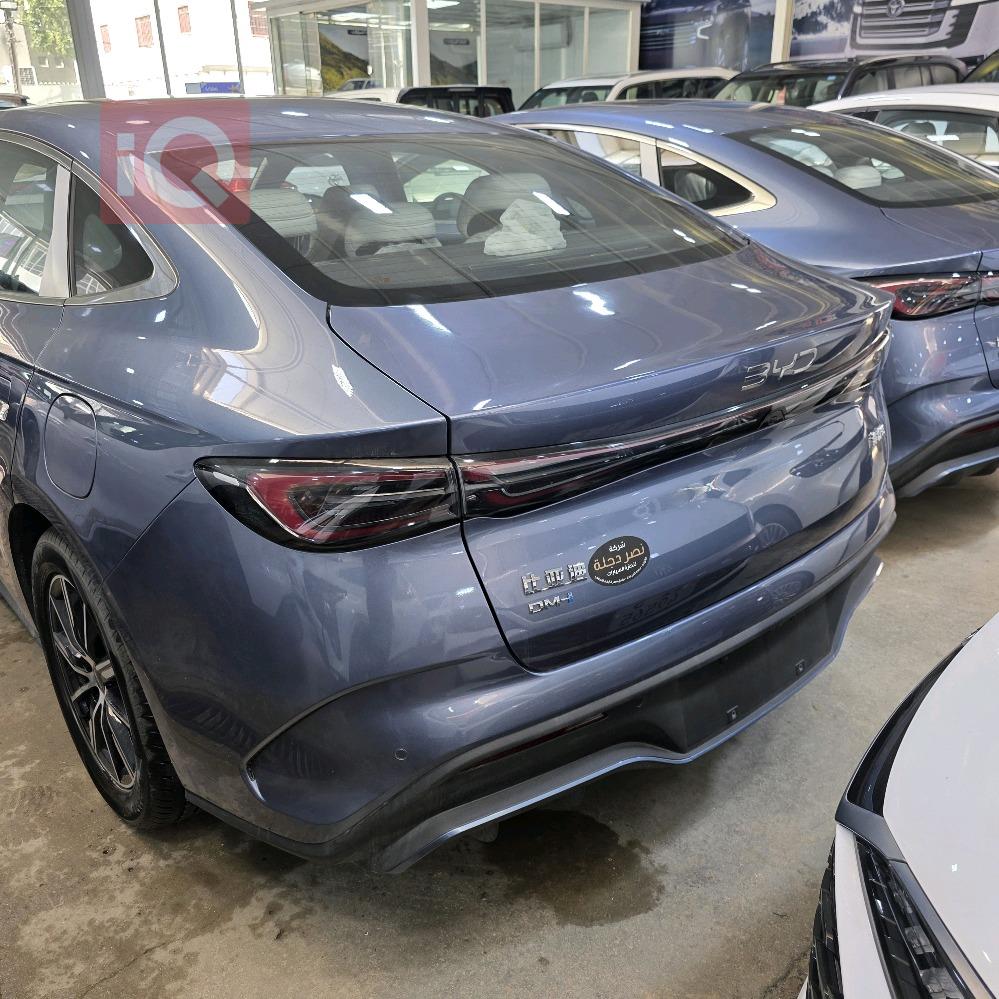 بي واي دي سيل 06 DM-i